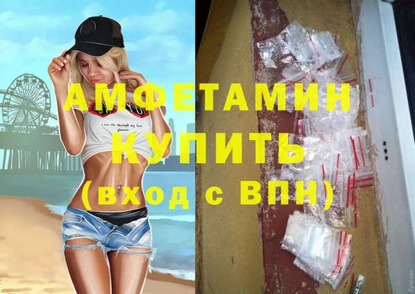 гашик Осинники