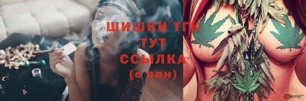 эйфоретик Аркадак