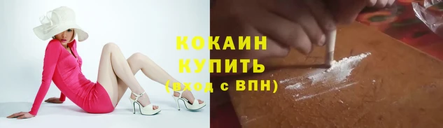 амф Арсеньев