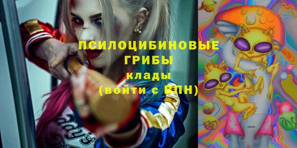 эйфоретик Аркадак