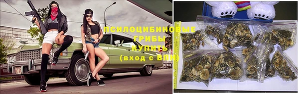твердый Осташков