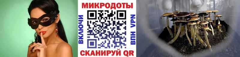 Псилоцибиновые грибы Cubensis хочу Баймак